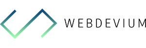 300x100